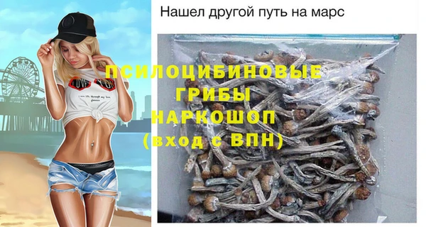 экстази Бородино