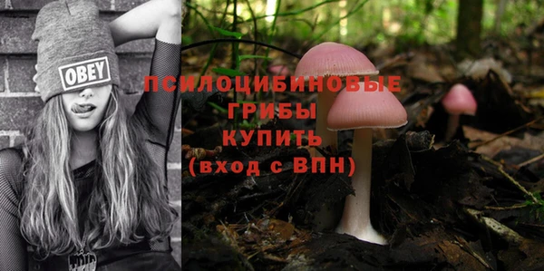 сатива Бугульма