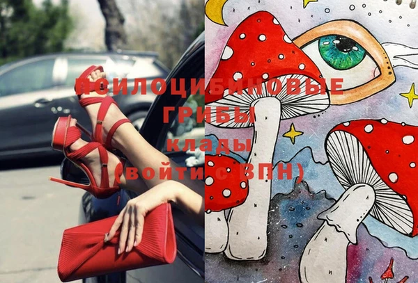 крисы Верхний Тагил