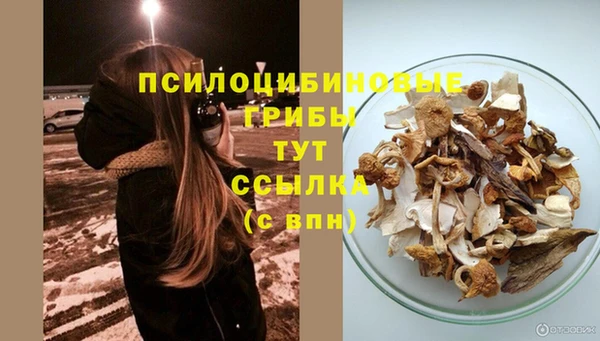 прущая мука Бронницы
