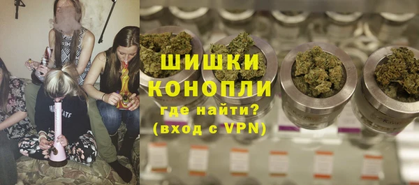 сатива Бугульма