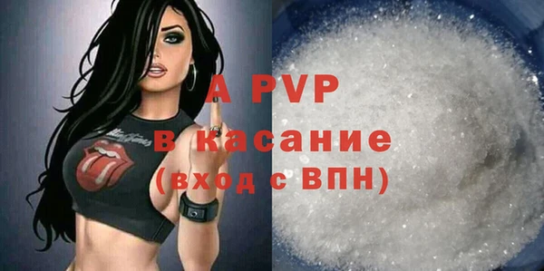 экстази Бородино